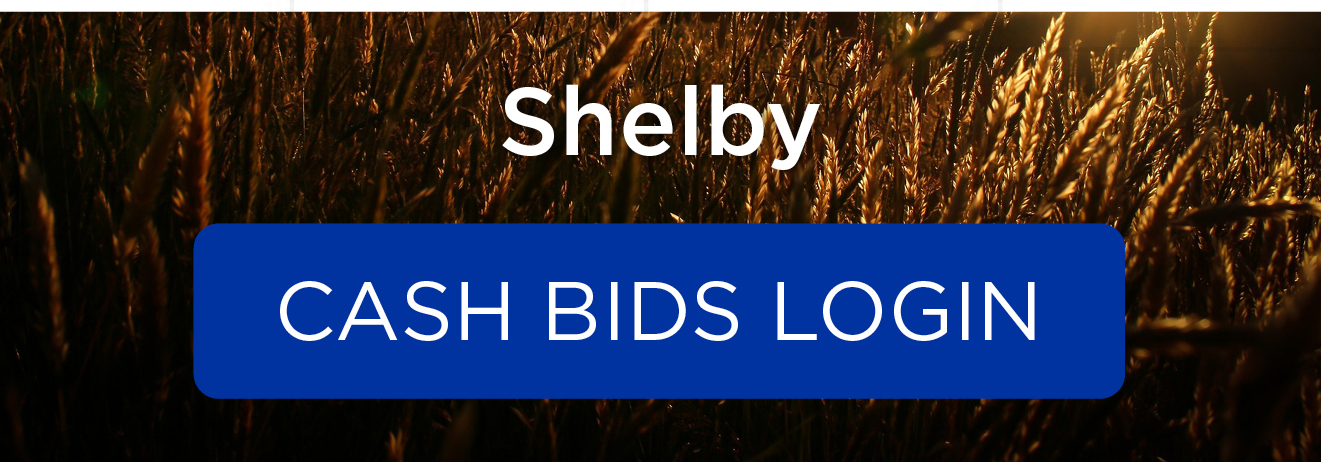 Shelby cash bids login